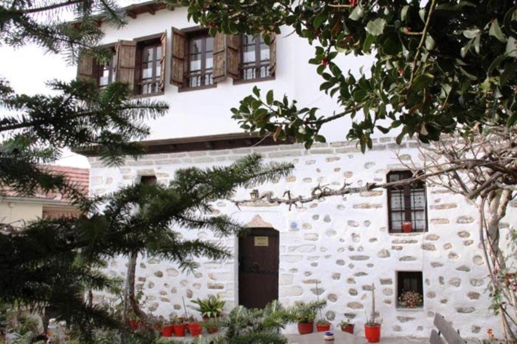 Hotel Αrchontiko Tis Marios Portariá Exterior foto
